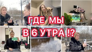 Где мы в 6 утра?😳 Ловим животных 😹 Работы Леры🤍 VLOG