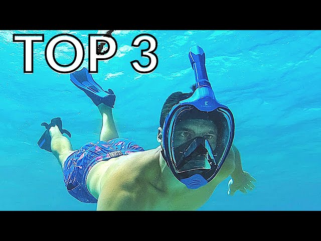 TOP 3 : Le Meilleur Masque de Plongée Intégral Snorkeling 