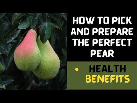 Health Benefits of Pear/ Amazing Benefits of pears/Health Benefits of Pears/Facts of Pear