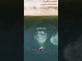 أغنية برك سليمان القانوني 2 اغنية كلماتي شعر لحن لبناني طرب ذكاء_اصطناعي برك_سليمان بيت_لحم mp3