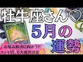 2026年5月牡牛座の運勢　大勝利確定してます💐💕お悩みは解決に向かう。大丈夫です☀️良い未来のためによく寝て体調精神の癒しバランスを大切に🪷🤗🫶💕【星座別リーディング】