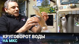 Круговорот воды на МКС Круговорот воды на МКС