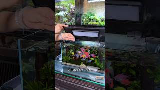 Xiaomi fish tank dual water pump module, now you don't have to worry about water quality