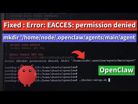 OpenClaw | Fixed Error: EACCES: permission denied, mkdir '/home/node/.openclaw/agents/main/agent