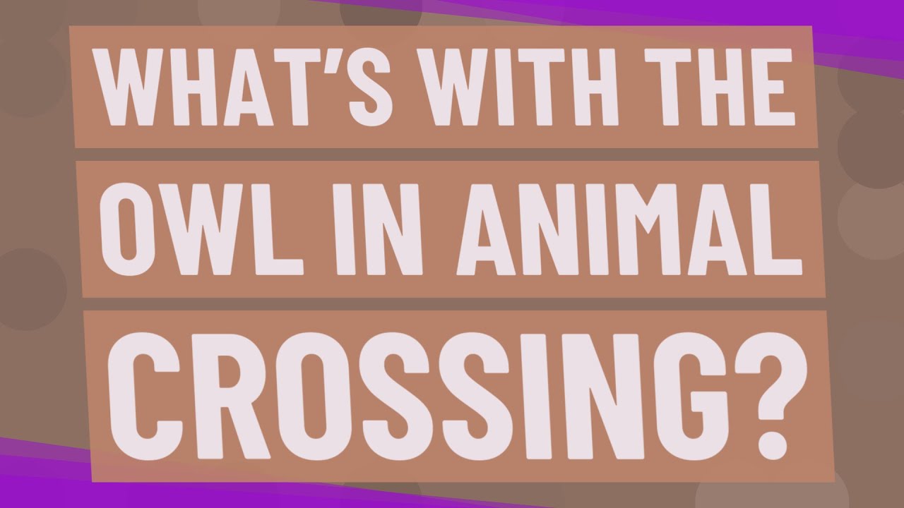What's with the owl in Animal Crossing?