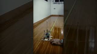 Revised Trebuchet Testing c