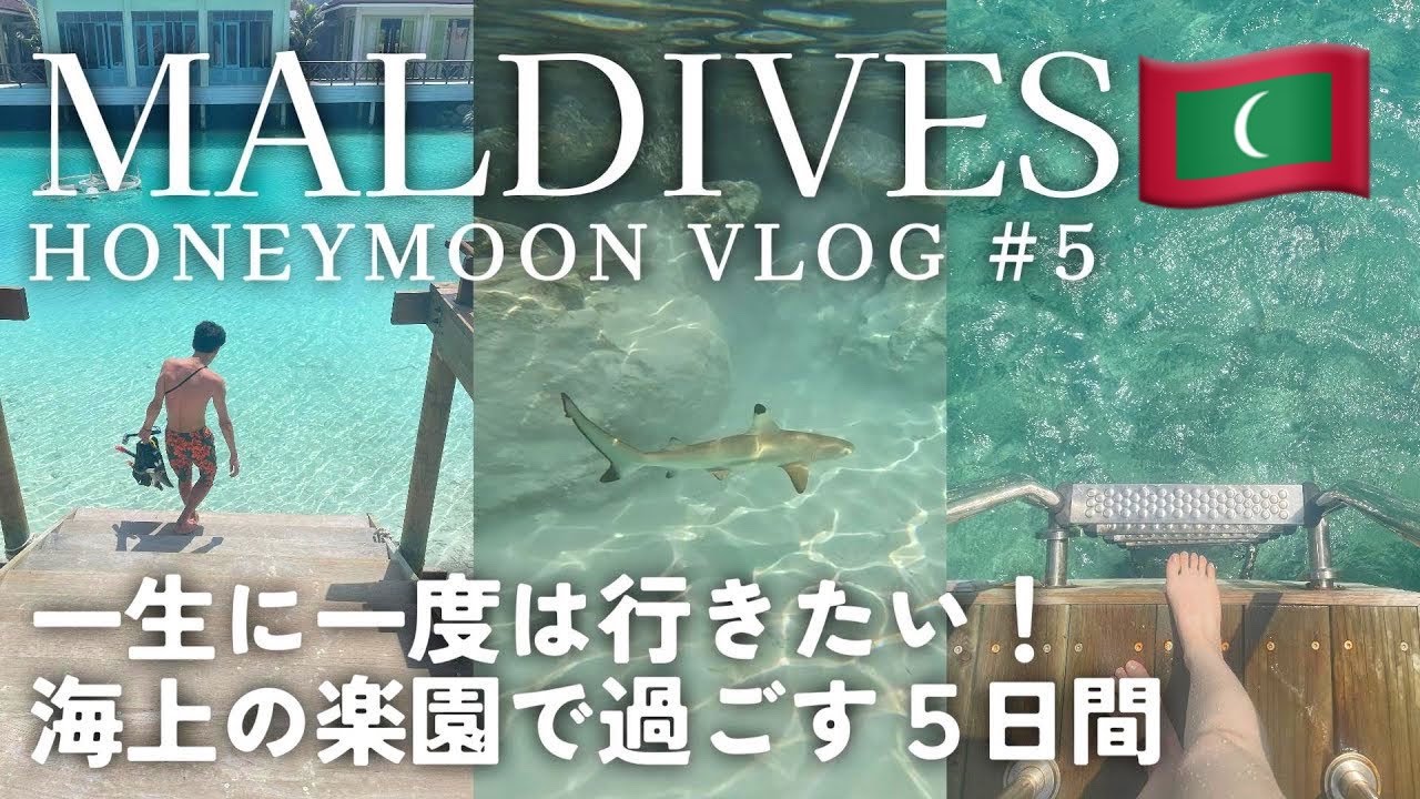 [ Maldives Trip🇲🇻]  シンガポール航空で行く新婚旅行💍｜モルディブで過ごす贅沢な５日間｜＃５｜水上ヴィラ｜オールインクルーシブ｜ロビギリ｜ハネムーンディナー