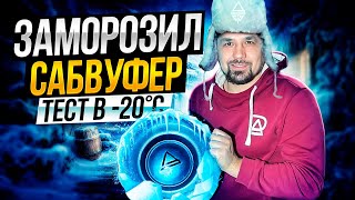 Заморозил Сабвуфер / тест в зимних условиях / #автозвук #aura