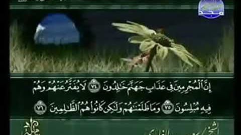 سورة الزخرف من الآية 74 الى الآية 89