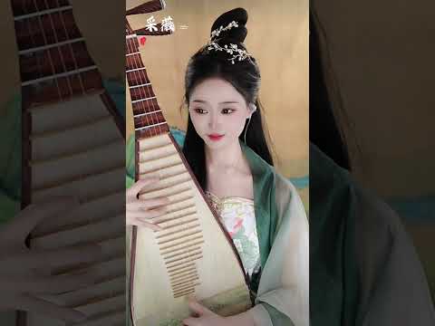 《采薇》 琵琶奏乐。soothing relaxation music. 舒缓解压轻音乐，冥想音乐。
