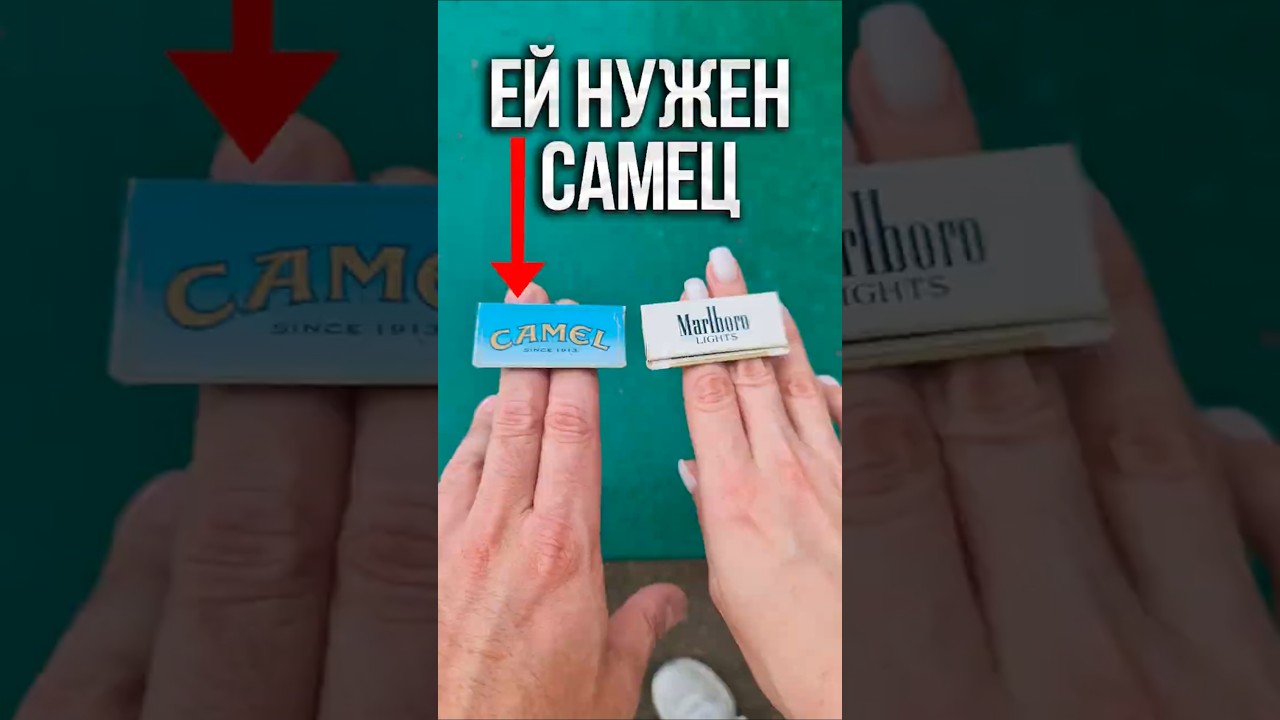 На дворе нулевые - играем в летучки "Camel" против "Marlboro" 🥲
