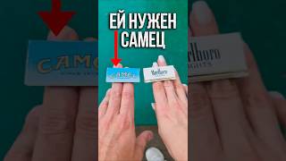 It's the 2000s, so let's play a little game of Camel vs. Marlboro 🥲 screenshot 4