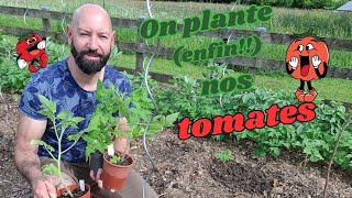 Plantations de tomates (un peu tardives)
