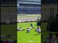 若手騎手のジャンプレース