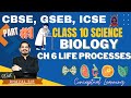 Lifeprocesses scienceclass10 biology ncert class 10chapter 6 cbsegsebsystemdigestivegujarat