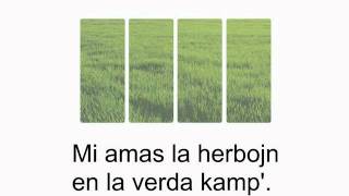 Mi amas…