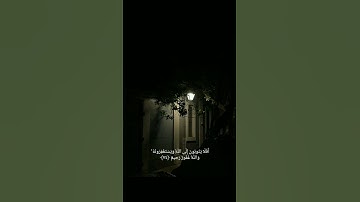 افلا يتوبون الى الله ويستغفرونه_سورة المائدة#تلاوة #قران || القارئ عبد الرحمٰن مسعد