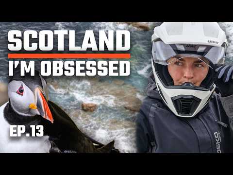 I made PUFFINS my entire persona! Scotland never fails to AMAZE solo motorcycle adventure (S8-EP13)