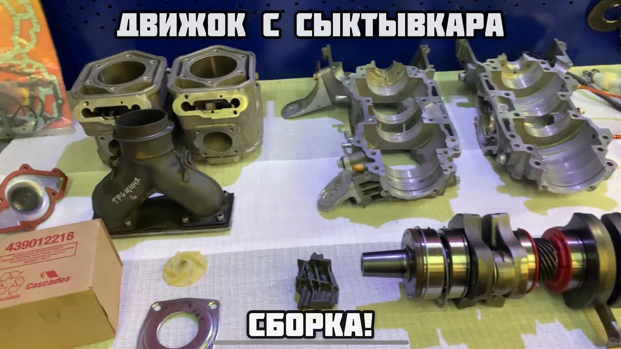 Сыктывкар эндоскопия двигателя
