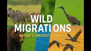 The Great Migration: Earth's Wildest Journeys
