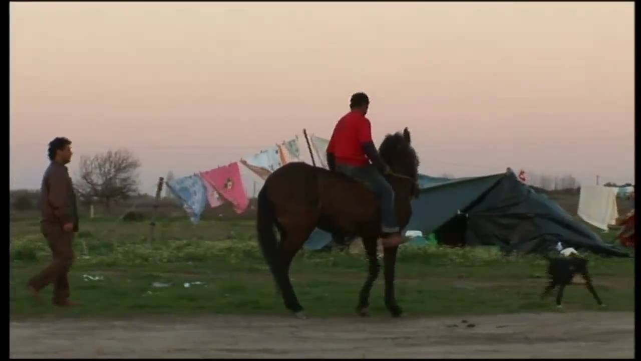 No parking in the world 6.mp4