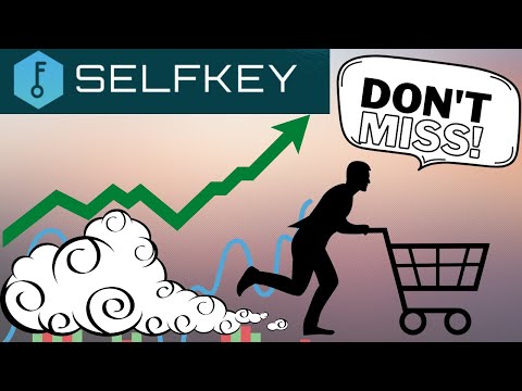 SELFKEY CRYPTO TOKEN 뉴스 업데이트 메타버스 투자 코인 