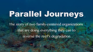 Parallel Journeys - Teaser