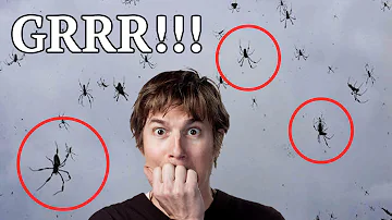 Proč se koruna stromu zasahuje nad váš pozemek?