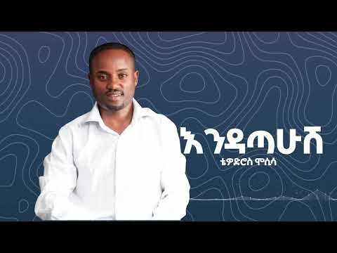 Tewodros Mosisa Endatahush ቴዎድሮስ ሞሲሳ እንዳጣሁሽ Official Music Audio 