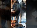 Wild Wonders: What happen when the lion will be ruled on ice #wildlions #animals #wildlife