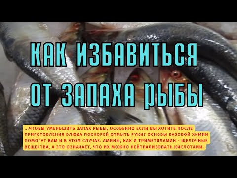 Откуда и как избавиться от запаха рыбы