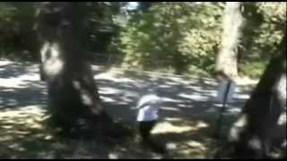 Running Up a tree Backflip!  COBALTGRUV