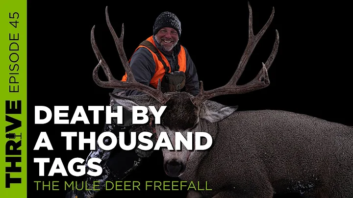 DEATH BY A THOUSAND TAGS | MONTANA'S MULE DEER FREEFALL | EP. 45