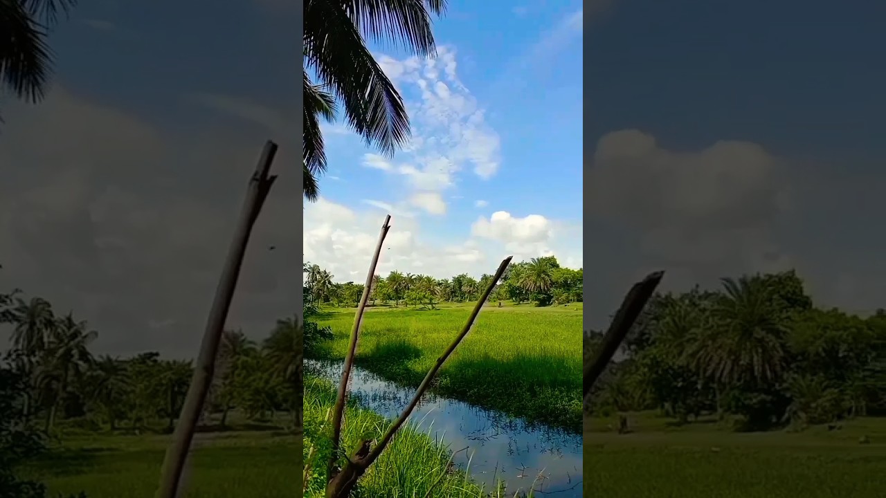 Beautiful Painting 🤩