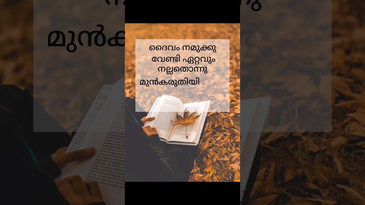 Bible quotes malayalam /Malayalam Bibl Bible Status / 