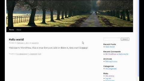 How to put a MailChimp form onto a WordPress Sidebar