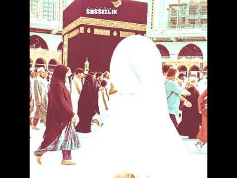 Sohret Memmedov - Allah Whatsapp Üçün Maraqli Statuslar | Whatsapp Ucun Video Status 😍💫