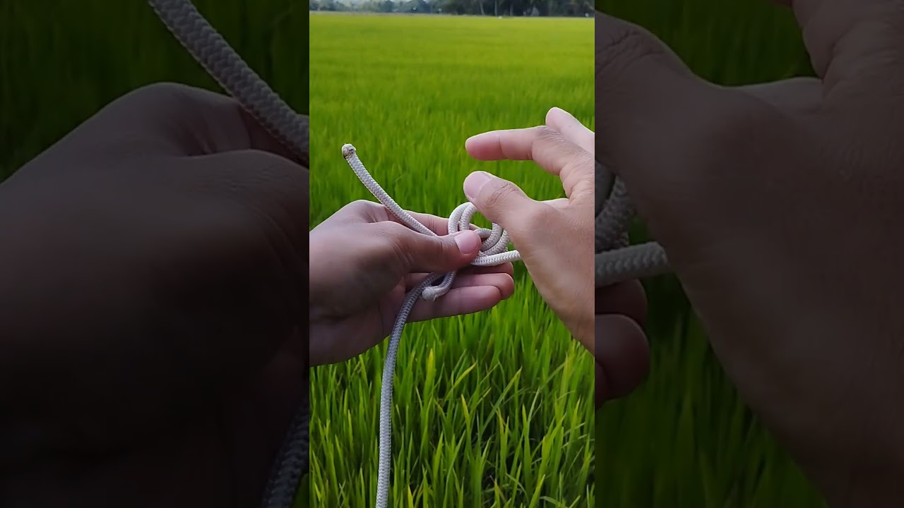 I made a shortcut method to tie the Hunter's Bend simpler and faster! Joining two lines so easily!