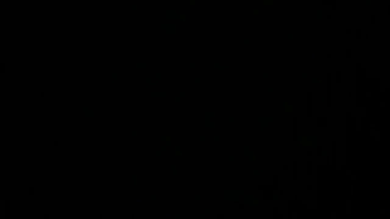 My ropet Guinness‘s first day home ,  unboxing an observations ￼￼