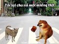 #TONGTAICHEEMS#CHEEMSMEME chó cắn tôi nhưng tôi cắn lại nó vì tôi là con chó