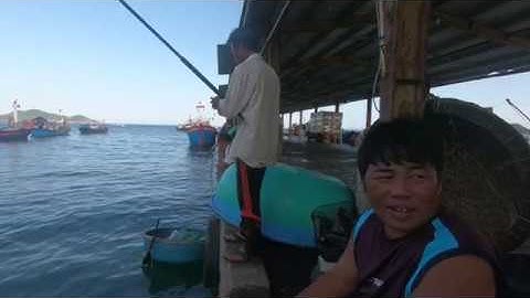 FISHING | CAO THỦ CÂU CÁ GIẬT CÁ LIÊN TỤC KHÔNG CẦN MỒI | NGƯỜI VÙNG BIỂN