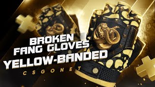 Обзор Broken Fang Gloves | Yellow-banded (Перчатки «Сломанный клык» | Жёлтые полосы) | CS:GO