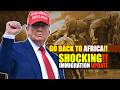 The Dark Truth About Liberians Struggling Abroad: A Hidden Crisis The Media Ignores 🚨 🇱🇷 #africa