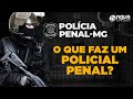 Policial Penal x Agente Penitenciário: o que muda na carreira? 🚨