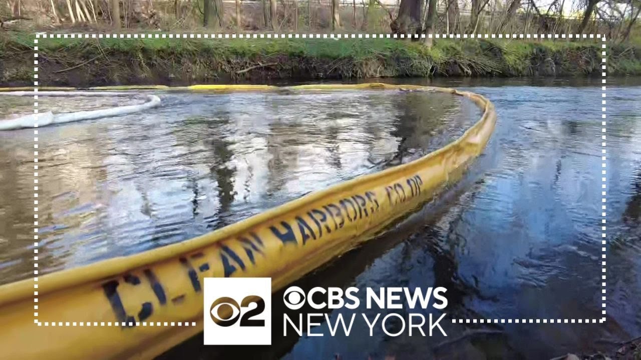 Major cleanup underway in Bronx River after fluid leak - YouTube