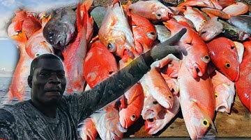 Early morning fishing offshore until night in the dark catching red snapper. Jamaican Jerk fish
