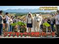 【47都道府県】超リアルなジブリキャラ×妖怪パレード！