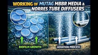 How MBBR Media & Diffusers Improve Biological Treatment Efficiency