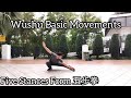 Wushu basic movements five stances form  tutorial