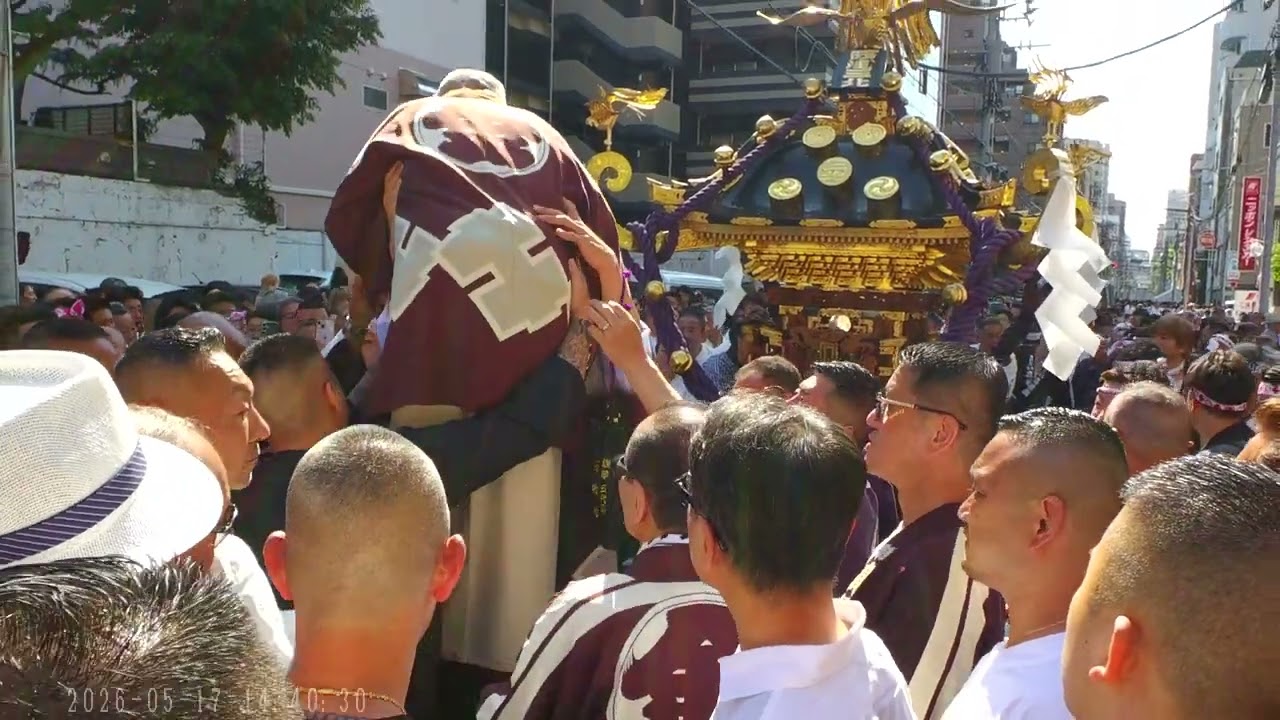 2026浅草三社祭 丸金 高橋組 - YouTube